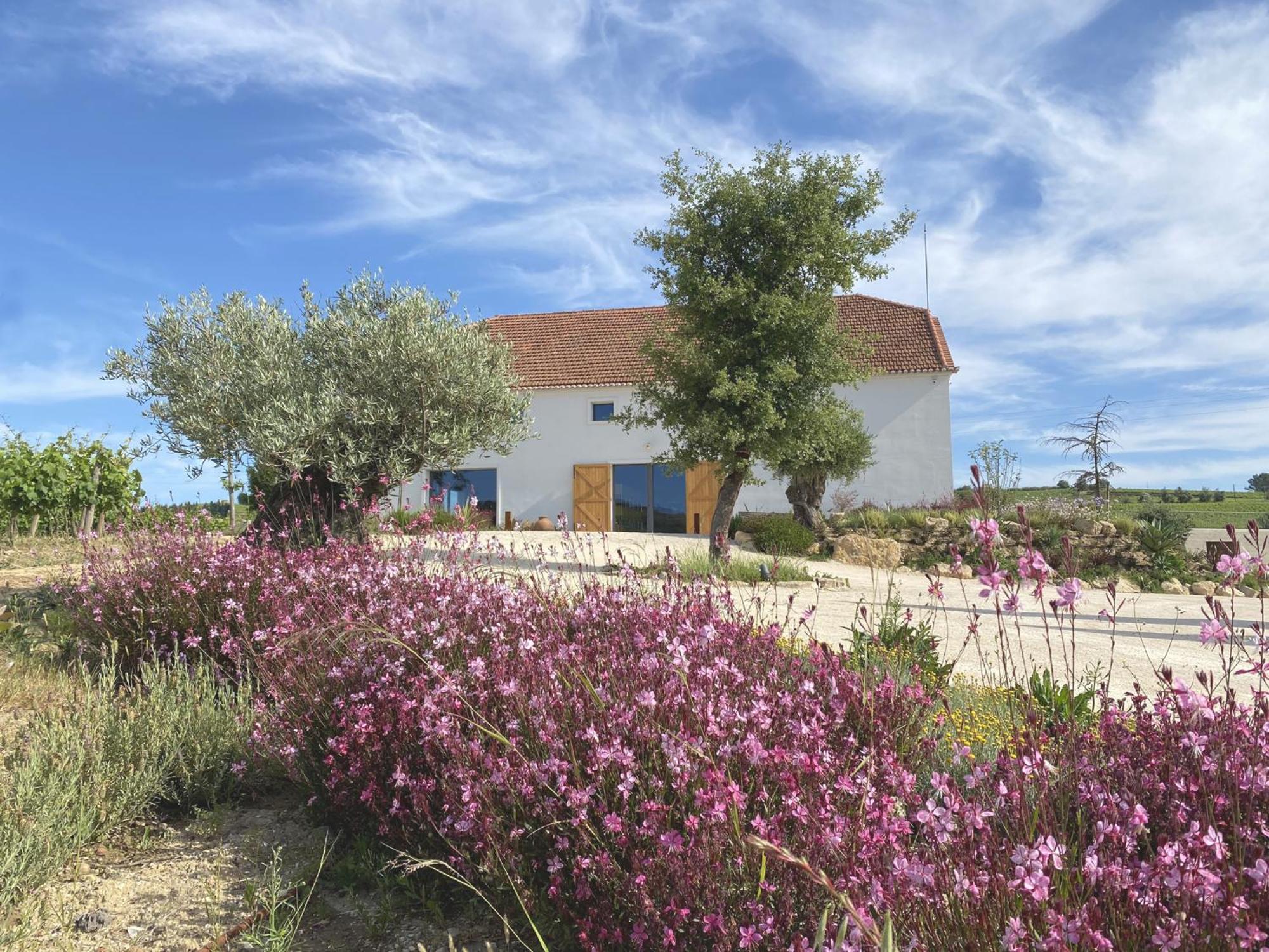 Villa Cas'Amaro à Alenquer Extérieur photo